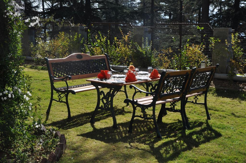 Hotel Southgate Shimla Buitenkant foto